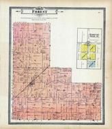 Forest Township, Hamilton, Clinton County 1903 Published by Middle West Publishing Co